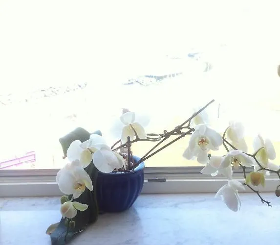 Lejlighedshotel Excelsior Mare 4*