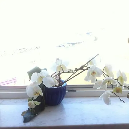 Apartahotel Excelsior Mare 4*