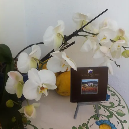 Excelsior Mare Casamicciola Terme